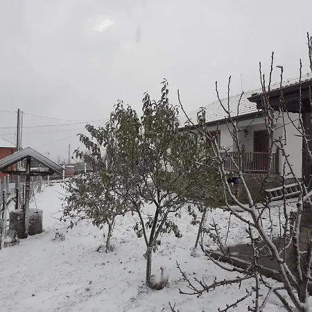 на мечка Oborishte