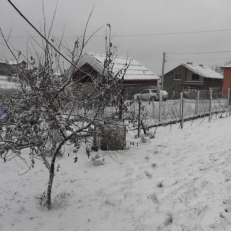 Pensiune на мечка Oborishte