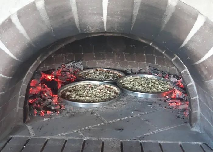 на мечка Oborishte