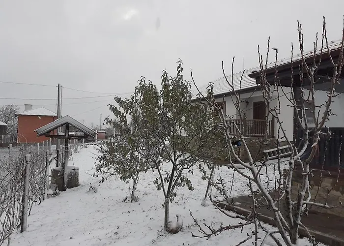 на мечка Oborishte