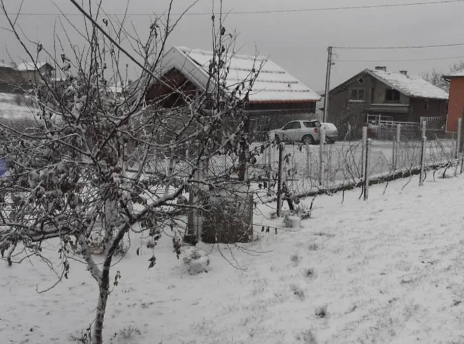 ゲストハウス на мечка Oborishte